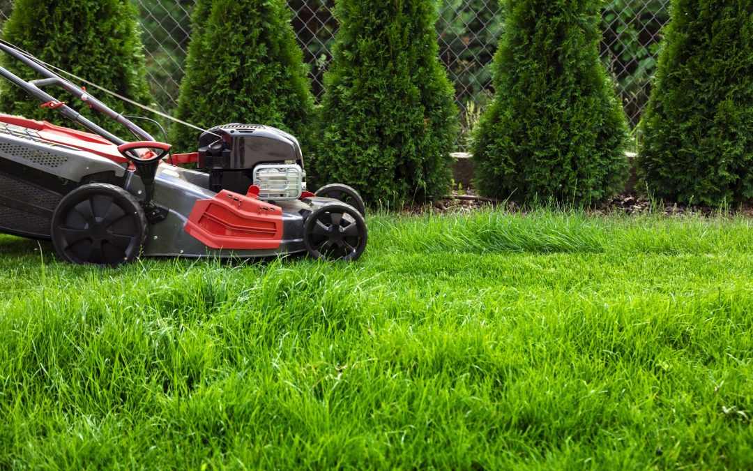 The Art of Lawn Striping: Creating Your Picture-Perfect Yard