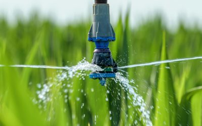 Water Wise: Revolutionizing Agriculture with Sustainable Irrigation