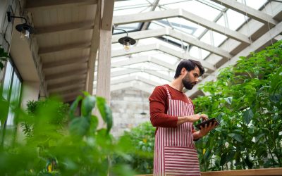 Harnessing the Greenhouse: Revolutionizing Modern Farming