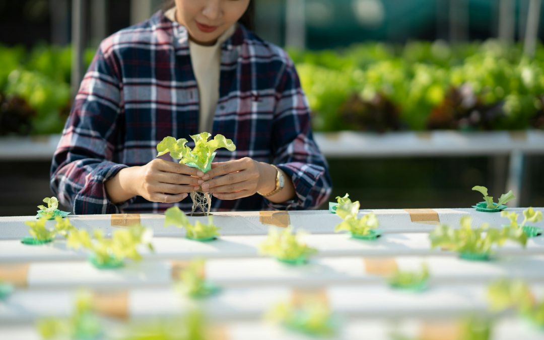 Farming of the Future: How Smart Farms and Hydroponics Are Shaping Agriculture